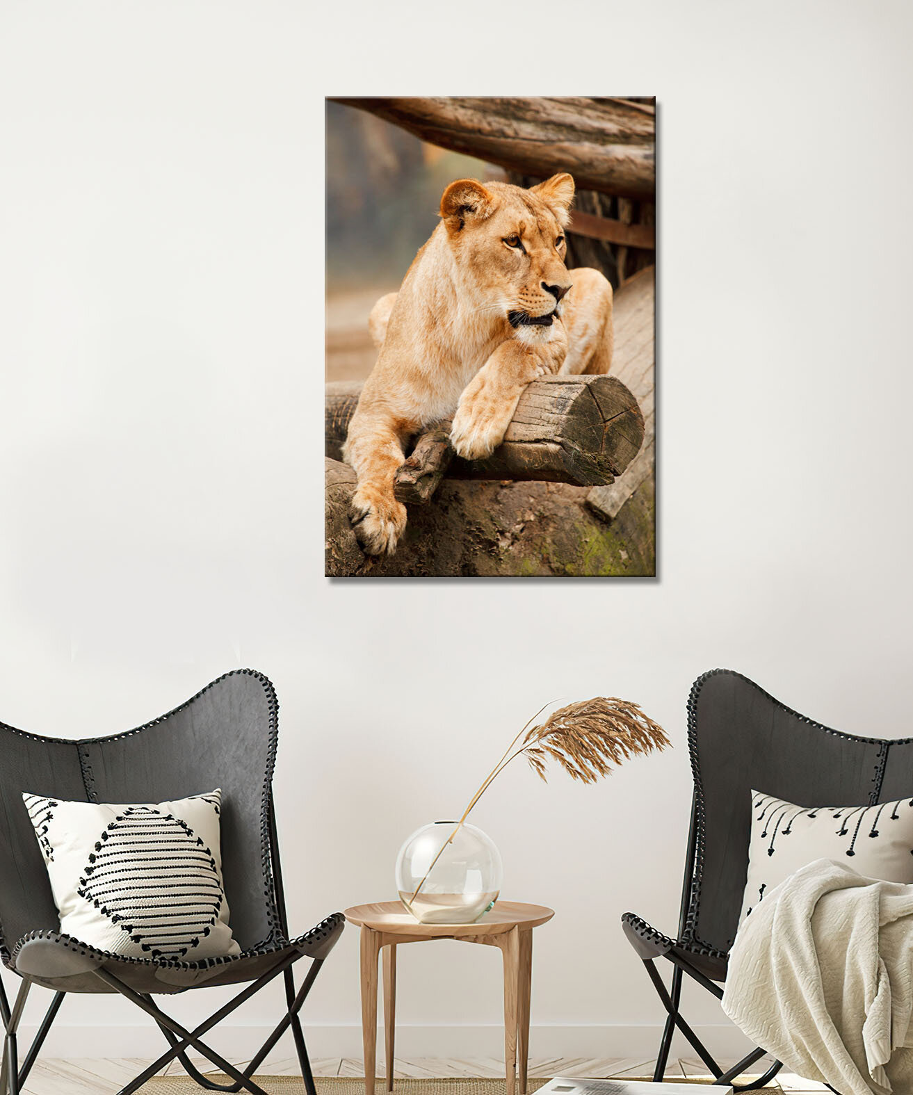 Картина - Лев львица красивая львица лежит дикая львица (68) 30х40