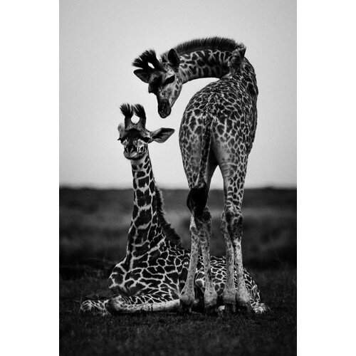 Панно на алюминии 100х200 ART LB-003 Художник Laurent Baheux