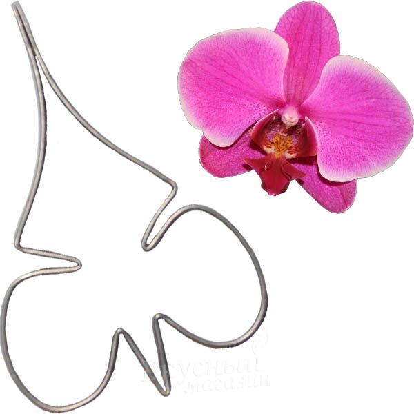 Каттер цветочный Орхидея Фаленопсис губа L, ct-58