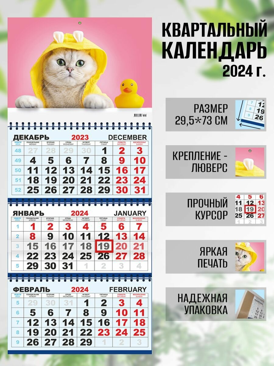 Календарь квартальный настенный 2024 г. Забавный кот