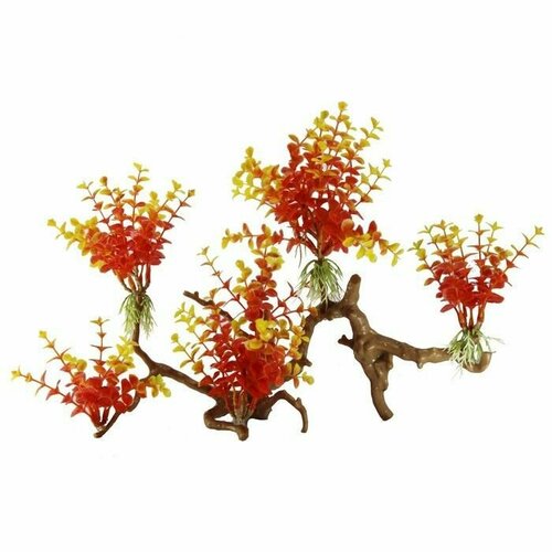 Fauna International Декорация для аквариума Растение на коряге №33, 35 см х 10 см х 20 см
