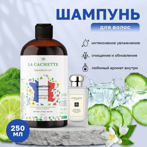 Шампунь для волос увлажняющий La Cachette U317 Earl Grey & Cucumber, 250 мл гель для душа увлажняющий la cachette u317 earl grey