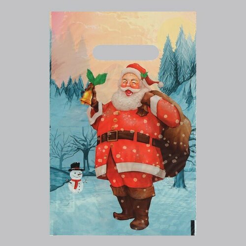 Пакет Звуки праздника полиэтиленовый с вырубной ручкой 20х30 см 30 мкм набор 20 штук 464₽