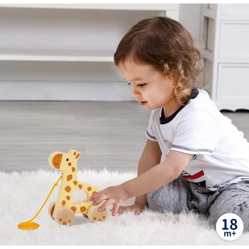 Каталка-игрушка Жираф на веревочке от бренда Tooky Toy 806₽