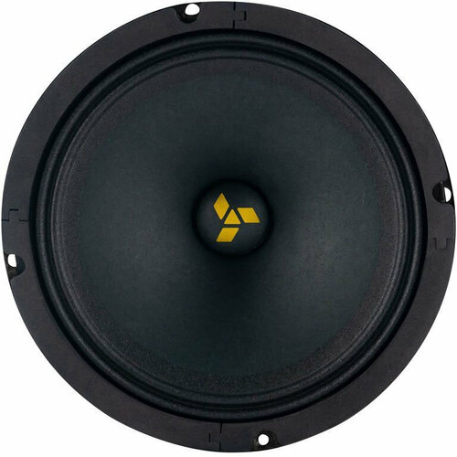 Среднечастотник SWAT MAS-65Pro без решетки эстрада 285000₽