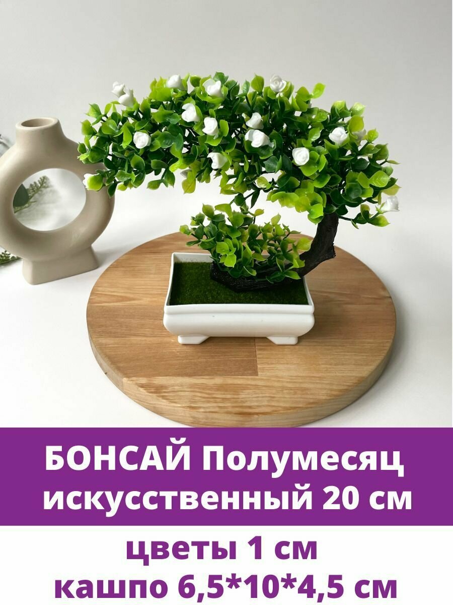 Бонсай полумесяц с розочками, Зелень искусственная в белом кашпо, высота 20 см, 1 шт.