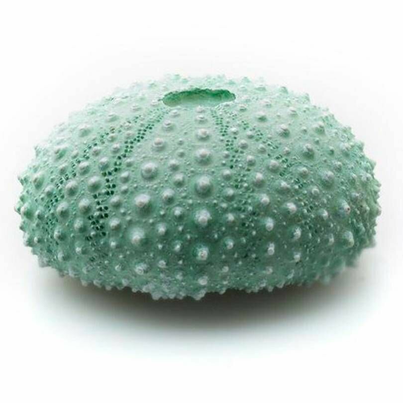 фото Декорация пластиковая Prime Морской ёж 4х3.5х2см, 1 шт.