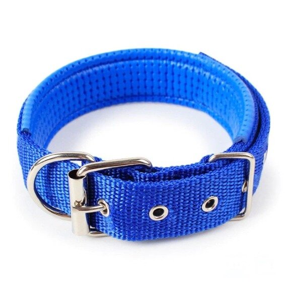 фото Ошейник для собак 2*48см "Zooland-Глубокое море" Ultramarine