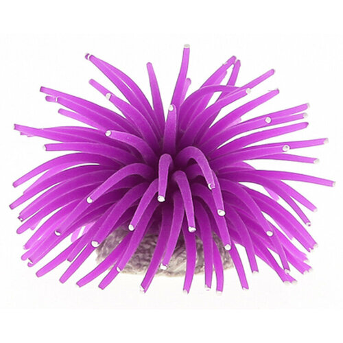 Декор для аквариума Коралл силиконовый Vitality на керамической основе фиолетовый 4,5 х 4,5 х 4 см (1 шт) коралл для аквариума marvelous aqva к 011 4