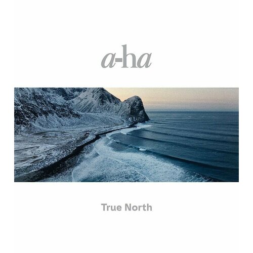 Виниловая пластинка A-Ha, True North (0196587083014) виниловая пластинка a ha true north 2lp