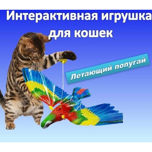 Интерактивная игрушка для кошек, подвесная птица