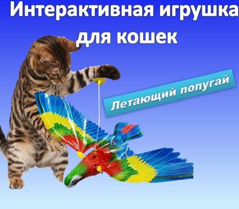 Интерактивная игрушка для кошек подвесная птица