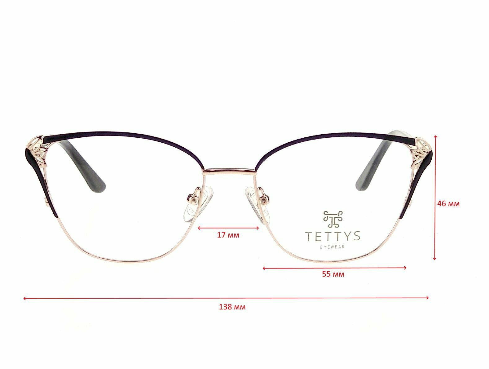 Фотохромные очки с футляром на магните TETTYS EYEWEAR мод. 210504 Цвет 1 с линзами NIKITA 1.56 Colophony GRAY, HMC+ +1.50 РЦ 64-66