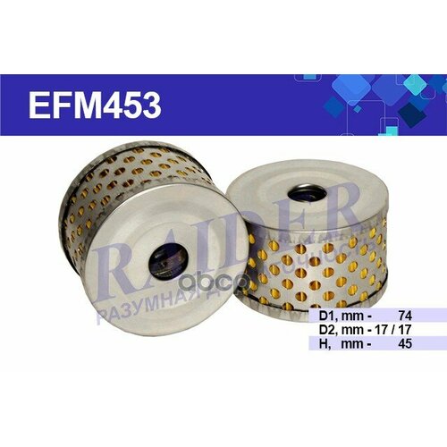 Фильтр Гур RAIDER арт. EFM453