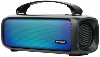 Портативная аудиосистема Soundmax SM-PS5021B(чёрный)