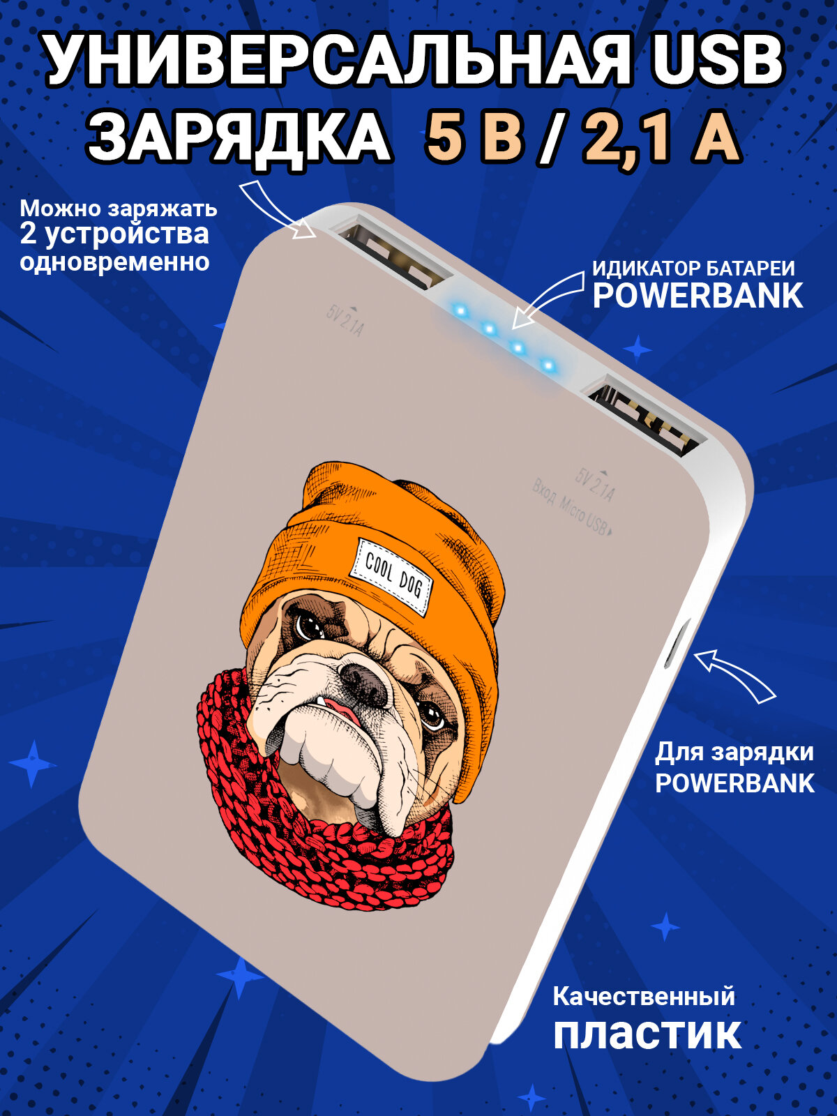 882144 Внешний аккумулятор Ritmix Power Bank RPB-10007 10000mAh Bulldog