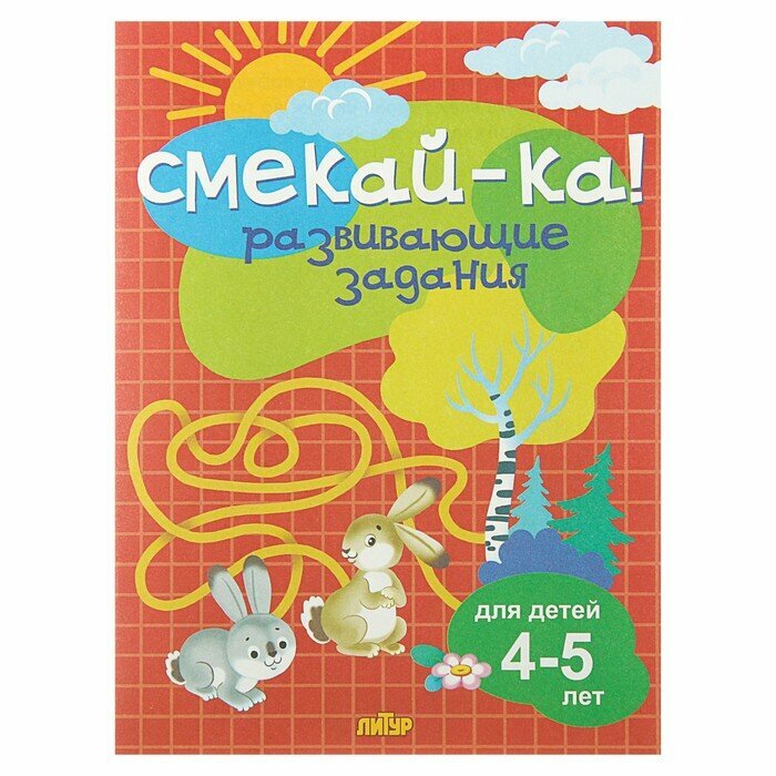 Книга с заданиями Литур Смекай-ка! Развивающие задания для детей 4-5 лет, Бортникова (978-5-9780-1152-4)