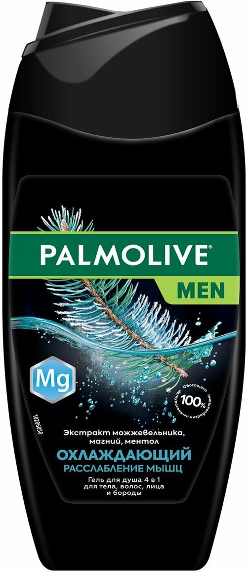 Palmolive / Гель для душа Palmolive Men Охлаждающий Расслабление мышц 4в1 250мл 1 шт