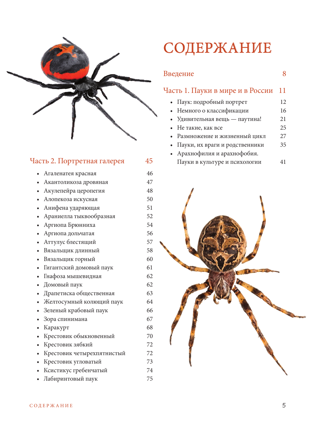 Пауки Познавательная иллюстрированная энциклопедия для всей семьи - фото №3