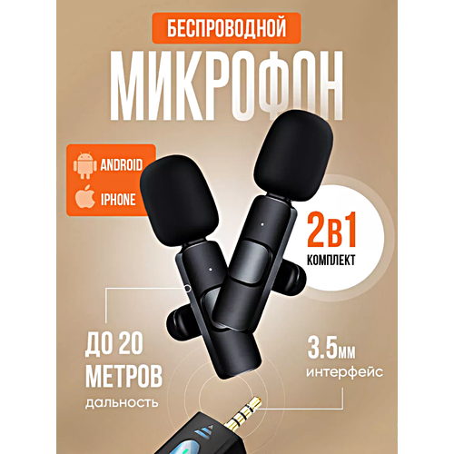 Беспроводной петличный микрофон с разъемом mini jack 3.5mm, комплект из 2 петличек, Черный