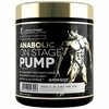 LEVRONE Anabolic On Stage Pump 313g - изображение