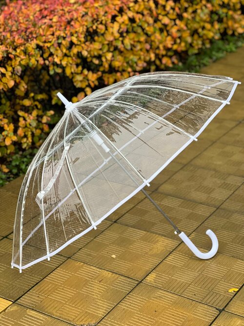 Зонт-трость Popular, полуавтомат, купол 100 см, 16 спиц, система «антиветер», чехол в комплекте, для женщин, белый