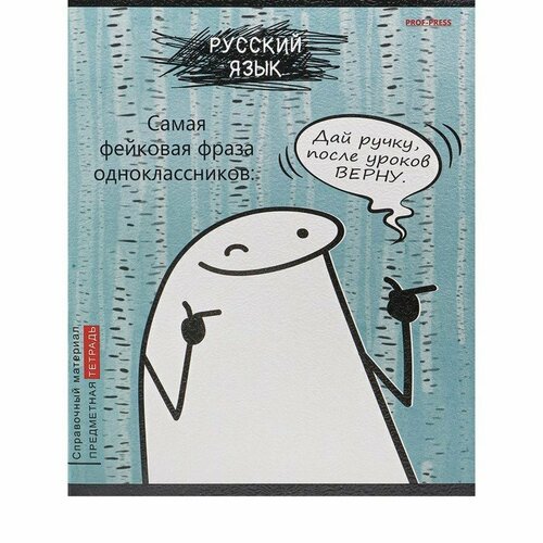 Тетрадь предметная 48 листов в линию Школьные мемасики Русский язык, обложка мелованный картон, тиснение холст, блок офсет (комплект из 20 шт)