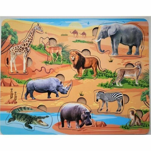 Рамка-вкладыш «Животные Африки» (комплект из 4 шт)