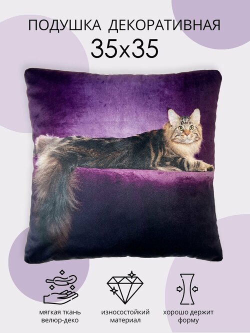 Подушка декоративная Кот МейнКун, подушка из велюра, для дивана и кресла, подушка в подарок, размер 35х35 см.