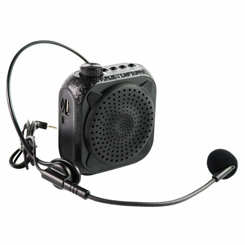 Громкоговоритель Говоритель П-30, 30Вт, MP3, Bluetooth