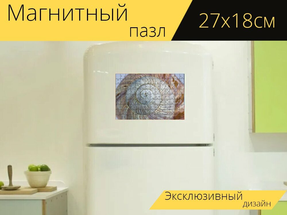 Магнитный пазл "Улитка, оболочка, корпус" на холодильник 27 x 18 см.