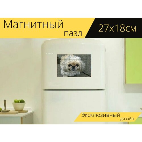 Магнитный пазл Собака, пекинес, красивая на холодильник 27 x 18 см. магнитный пазл пекинес собака милый на холодильник 27 x 18 см