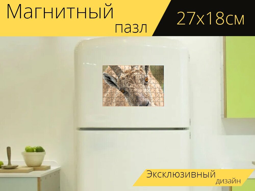 Магнитный пазл "Козел, голова, рога" на холодильник 27 x 18 см.