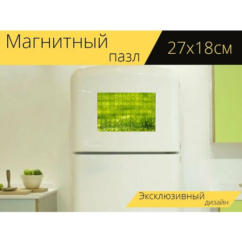 Магнитный пазл Зеленый, рост, концепция на холодильник 27 x 18 см. магнитный пазл storiesofdiversity концепция равенство на холодильник 27 x 18 см
