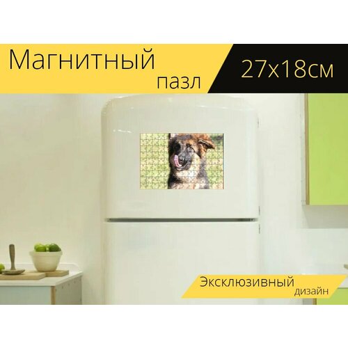 Магнитный пазл Немецкая овчарка, собака, щенок на холодильник 27 x 18 см. магнитный пазл белая овчарка щенок собака щенок на холодильник 27 x 18 см