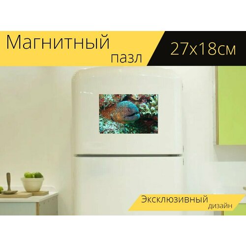 Магнитный пазл Мурена, угорь, рыбы на холодильник 27 x 18 см.