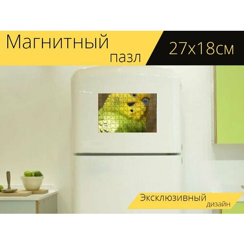 Магнитный пазл Попугай, птица, животное на холодильник 27 x 18 см. магнитный пазл птица попугай животное на холодильник 27 x 18 см