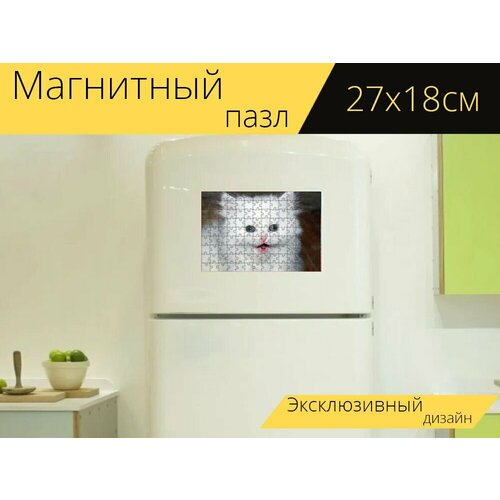 Магнитный пазл Котенок, кошка, белый котенок на холодильник 27 x 18 см.