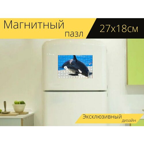 Магнитный пазл Косатка, сан диего, морской мир на холодильник 27 x 18 см.