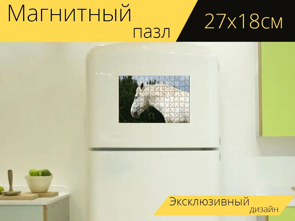 Магнитный пазл "Белая лошадь, голова лошади, летом" на холодильник 27 x 18 см.