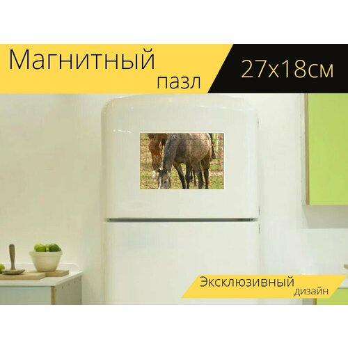 Магнитный пазл Лошади, группа, стадо на холодильник 27 x 18 см. магнитный пазл слоны стадо слонов стадо на холодильник 27 x 18 см