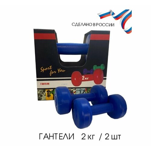 Владспортпром Гантели вес 2 х 2 кг 630₽
