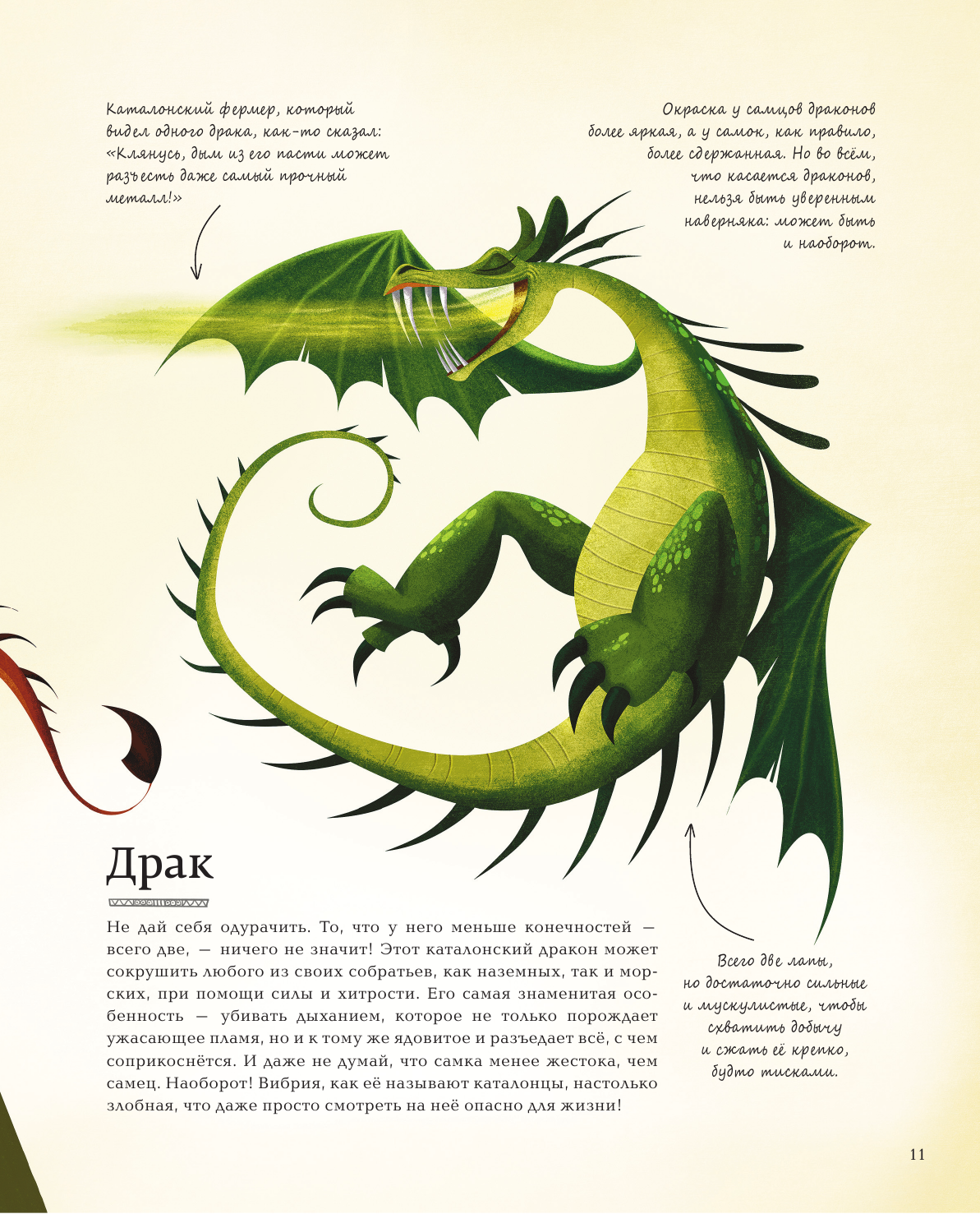 БОЛЬШАЯ КНИГА О ДРАКОНАХ (Магрин Федерика) - фото №14