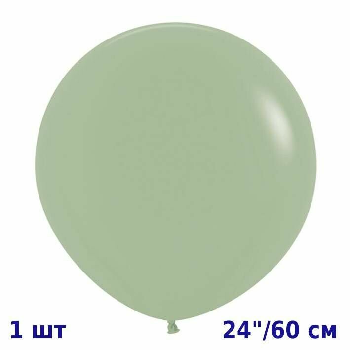 Воздушный шар (1шт, 60см) Эвкалипт, Пастель / Eucalyptus / SEMPERTEX S.A, Колумбия