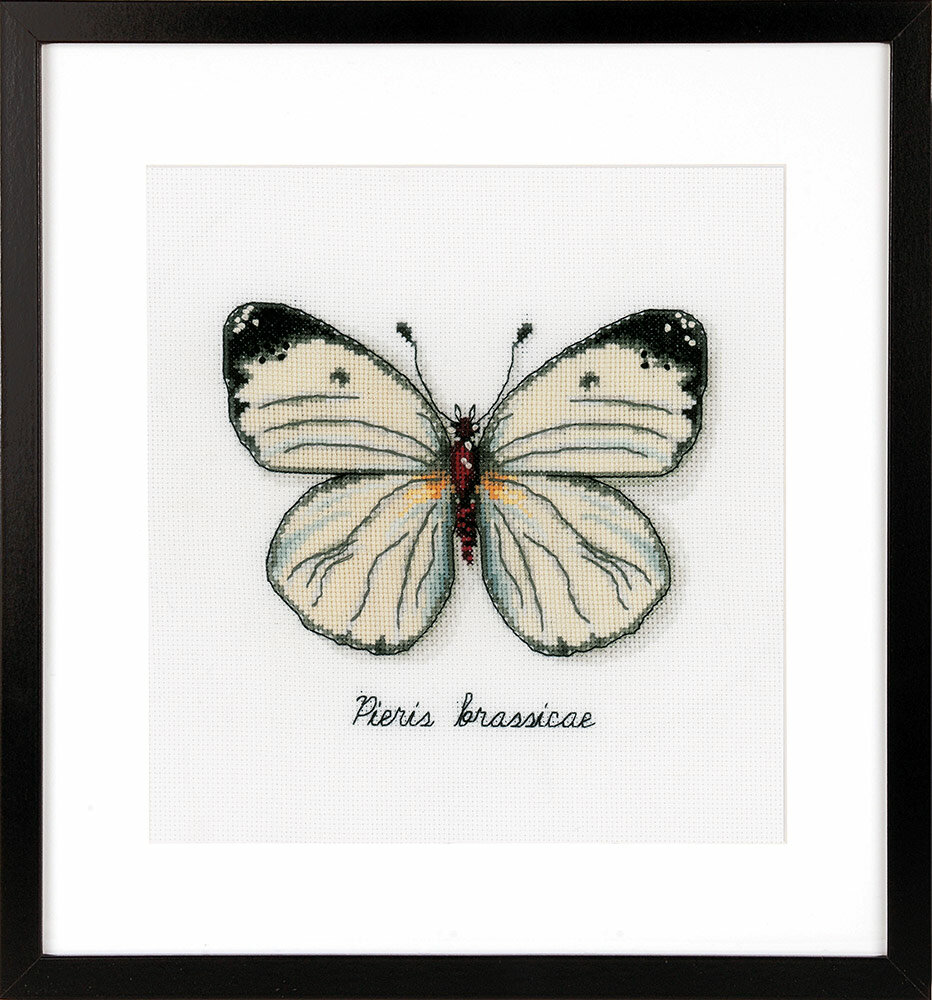 Набор для вышивания крестом Vervaco "Белая бабочка" (PN-0165233)