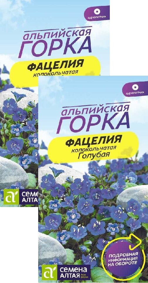 Фацелия Голубая колокольчатая (03 г) 2 пакета