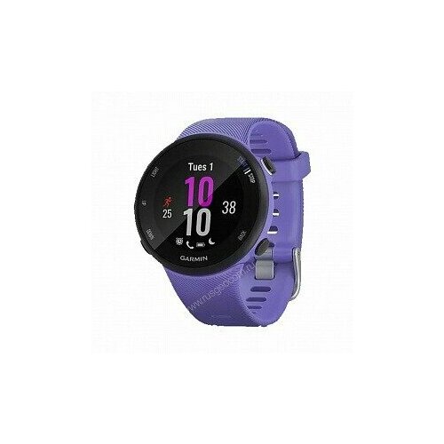 Умные часы Garmin Forerunner 45s GPS ирис 2159000₽