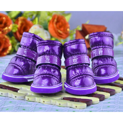 Кеды для собак Freedogs (Размер 4)