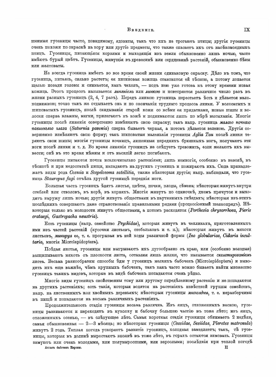 Книга Атлас Бабочек Европы и Отчасти Русско-Азиатских Владений - фото №8