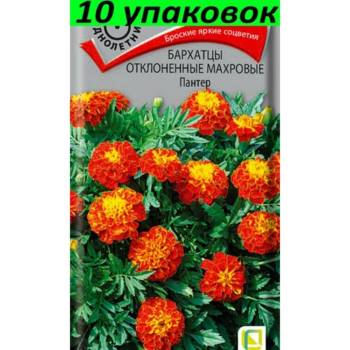 Семена Бархатцы (Тагетес) Пантер 10уп по 0,2г (Поиск) семена бархатцы тагетес желтая головка 10уп по 0 4г поиск